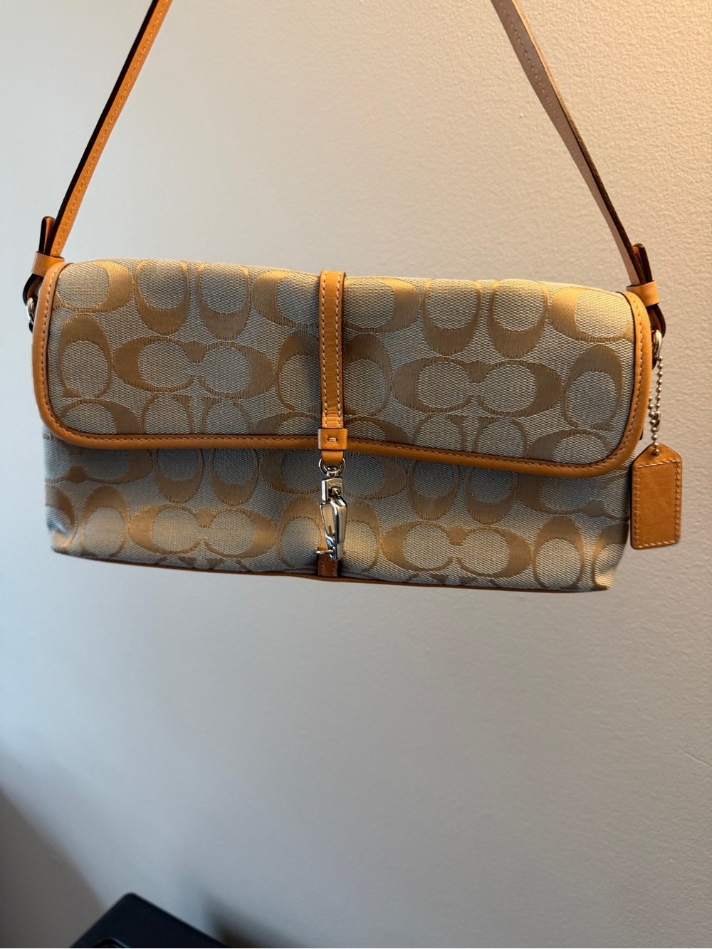 Coach Hamptons Signature Bag 🤎✨